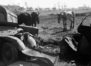 Fallback: Second World War: French troops in retreat and in captivity