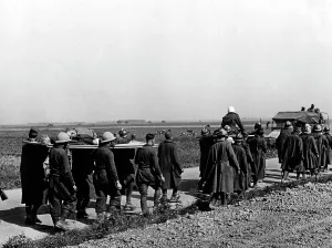 Fallback: Second World War: French troops in retreat and in captivity