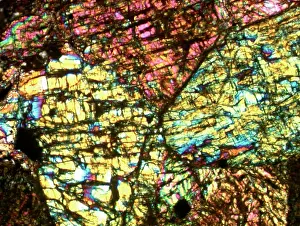 Nesosilicate: Section of Chassigny meteorite