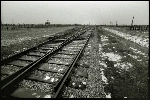 Morbid: Section of railway line Auschwitz-Birkenau