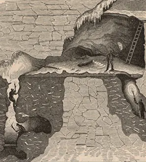 Evidence: Sectional view of a bone cavern showing debris