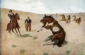 Corral: Securing a Mount