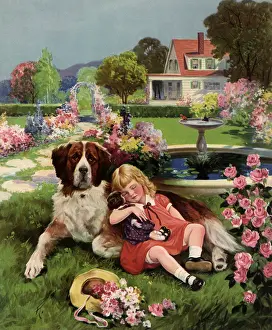 Canines: Security