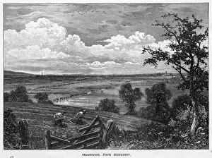 Sedgemoor: Sedgemoor, Somerset