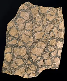 Janson: Sedimentary layer of rock