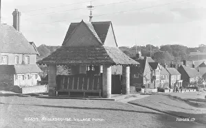 Sedlescombe: Sedlescombe Village Pump