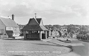 Sedlescombe: Sedlescombe Village Pump and Green