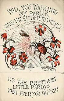 Prettiest: Seduction - Spider's Web