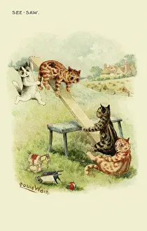 See Saw: See-Saw
