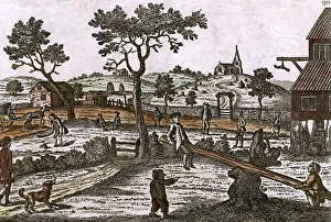 See Saw: SEE-SAW/EARLY 18C