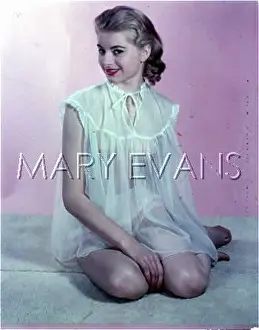 Sleepwear: SEE-THROUGH BABY DOLL