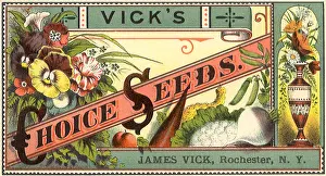 Dividing: Seed Label