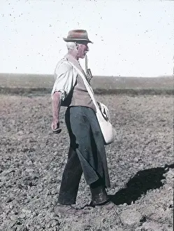 Seeding: Seeding peasant