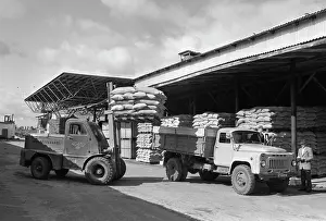 Customers: Seeds ready for shipment