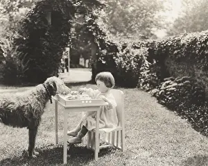 Obedient: Seeing eye to eye