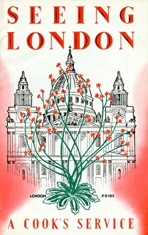 Brochure: Seeing London
