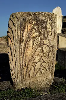 Segobriga: Segobriga Archaeological Park