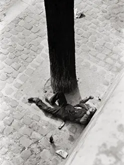 By the Seine River