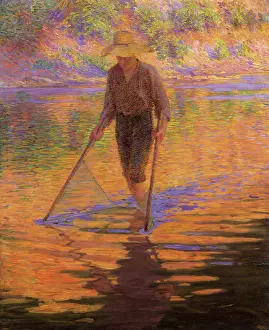 Stark: The Seiner