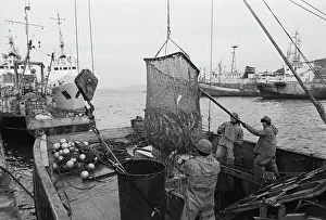 Kozlov: Seiner