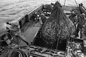 Kozlov: Seiner