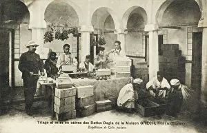 Overseer: Selection and packing of dates at Nefta, Tunisia