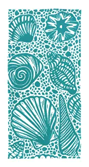 Cuts: A selection of seashells