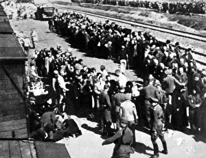 Birkenau: Selection and separation of prisoners at ?