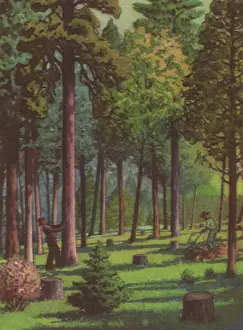 Logging: Selective Logging