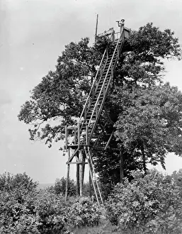 Treehouse: Selfmade lookout tower
