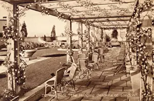 Selfridges: Selfridge's Hanging Gardens of London