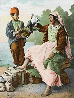 Poules: Seller of little chickens