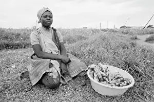 Neighbourhoods: Selling bananas alongside the road to attract passing