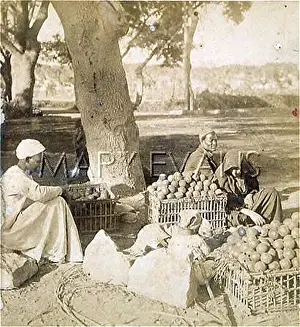 Christine Hinze: SELLING ORANGES, CAIRO