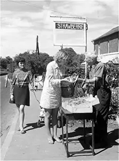Punnets: SELLING STRAWBERRIES