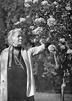 Selma: SELMA LAGERLOF