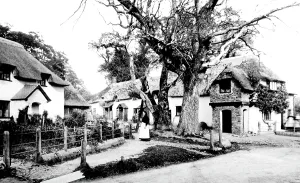 Selworthy: Selworthy, 1883