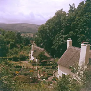 Selworthy: SELWORTHY THATCHES