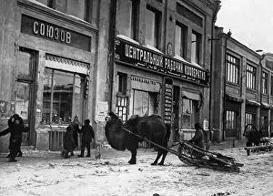 Grocery: Semipalatinsk, 1929