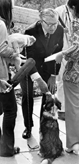 Reelection: Senator George Murphy, running for reelection, ?