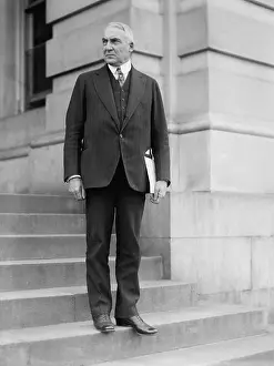 Lcgr15112: Senator Warren Harding on the steps of the U.S