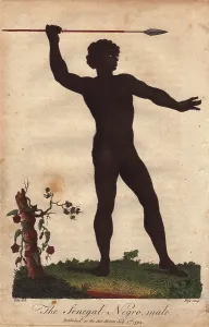 Sibly: Senegalese man holding a spear