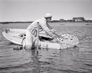 Clams: Senior Man Clamming Standing in the Water by a