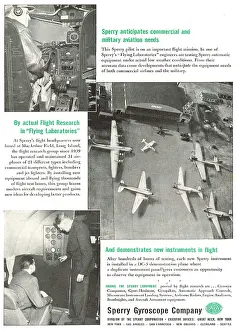 Autopilots: Sensenich Flight Instruments & Autopilots
