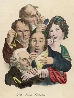 Senses: THE FIVE SENSES