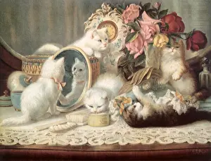 Smelling: The Five Senses