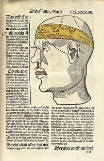 Senses: Senses and their corresponding parts of ?
