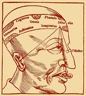 Forehead: Senses and Sensation, 16th Century