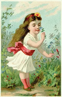 Senses: THE SENSES - SMELL
