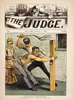 Sensible: Sensible Roosevelt - A whipping-post for wife-beaters
